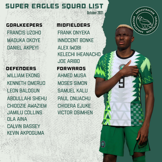 Super Eagles 23-man squad to face Central African Republic